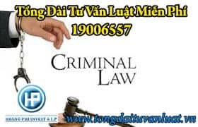 Quy định của pháp luật về đồng phạm