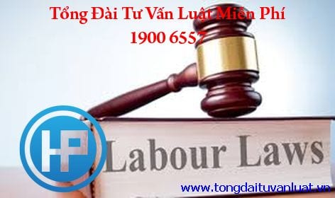 Quy định của pháp luật về phụ lục của hợp đồng lao động