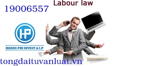 Hỏi đáp pháp luật lao động miễn phí