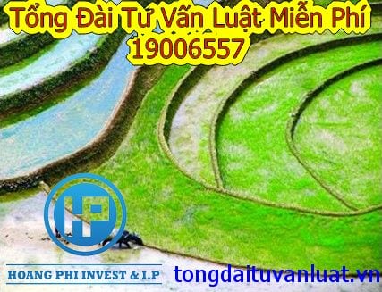 Thế chấp đất đai cần những điều kiện gì?