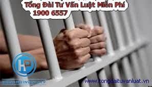 Sản xuất trái phép chất ma túy bị xử lý như thế nào?