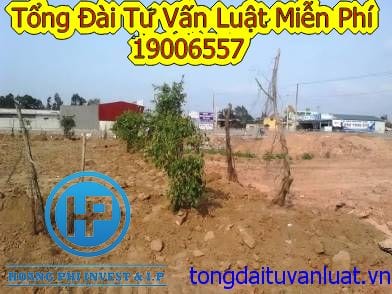 Chi phí và thủ tục tách sổ đỏ được thực hiện như thế nào?
