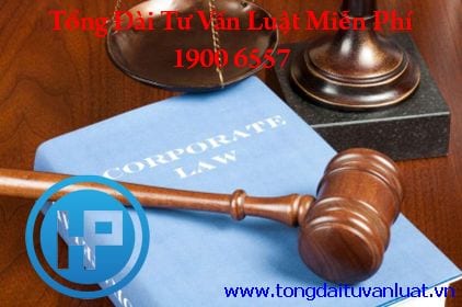 Nghĩa vụ của người bảo lãnh vay tiền?