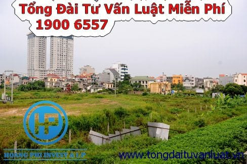 Tư vấn về hạn mức nhận chuyển quyền sử dụng đất nông nghiệp