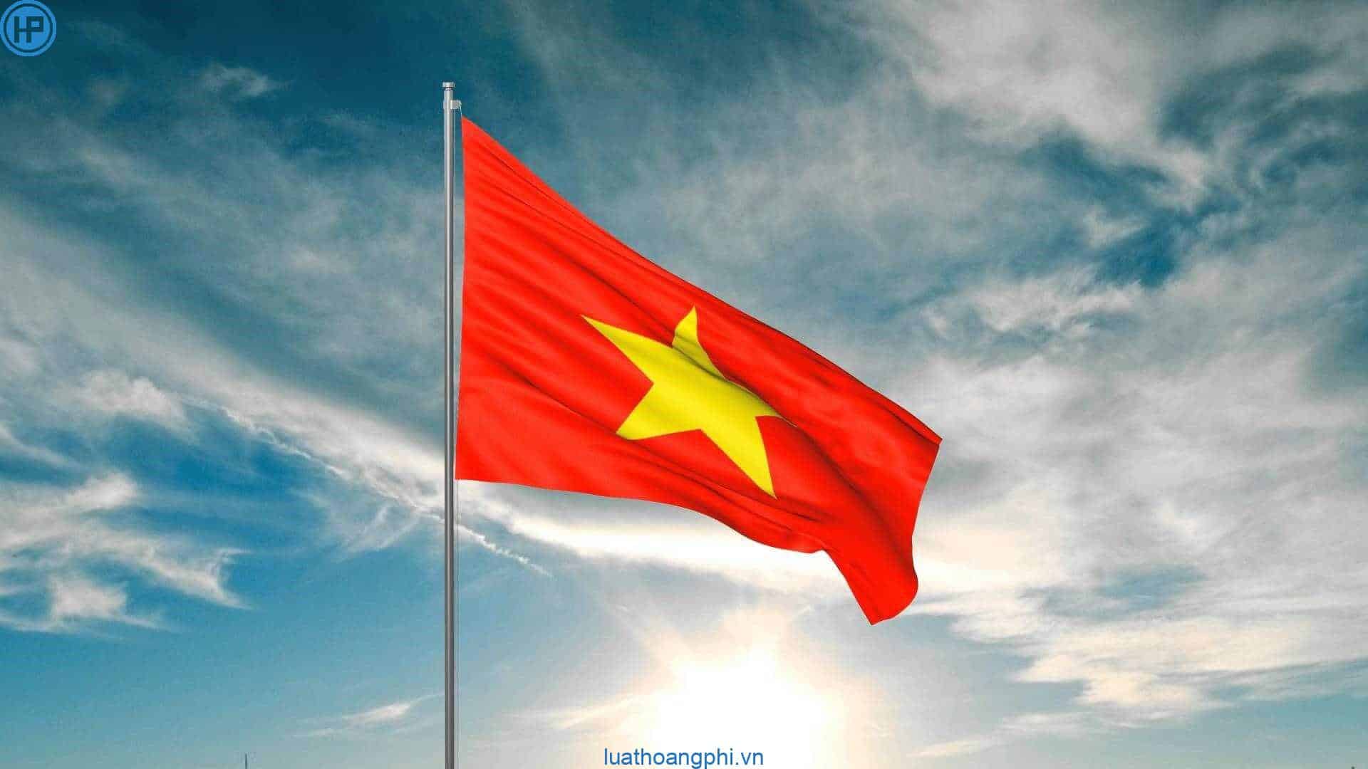 Hình nền Lá Cờ đỏ Nền Cờ Việt Nam Màu đỏ Lụa Quốc Kỳ Background Vector  để tải xuống miễn phí  Pngtree