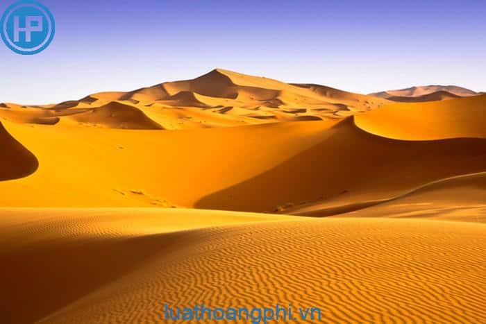 Hoang mạc sahara ở châu Phi là hoang mạc?