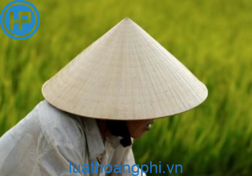 Mẫu bài thuyết minh về chiếc nón lá Việt Nam ngắn gọn