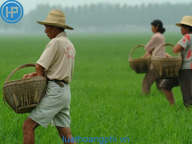 Vì sao sản xuất nông nghiệp của Trung Quốc lại chủ yếu tập trung ở miền Đông?